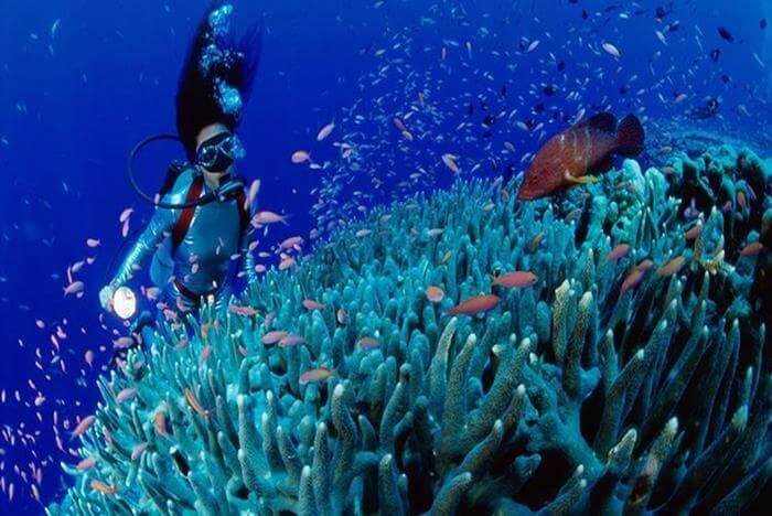 tour-tam-lan-bien-nha-trang-hon-mun3.jpeg (77 KB)